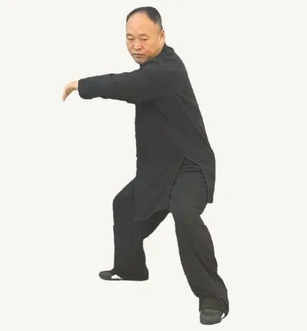 弓步左挒：③ 发，劲贯手臂，路径走完