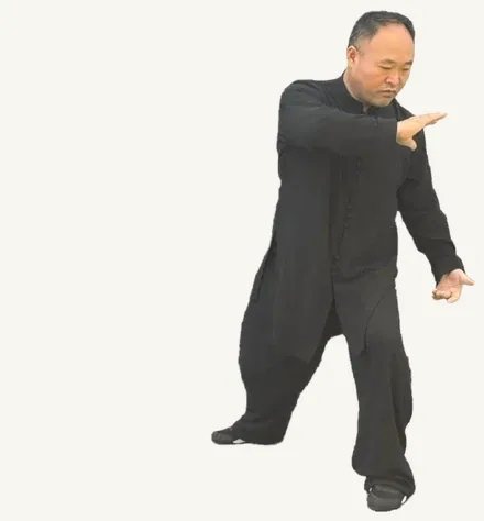 弓步左挒：④ 停，到位停住，可自查
